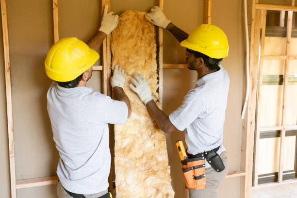 Best Insulation for New Construction  in Foresthill, CA